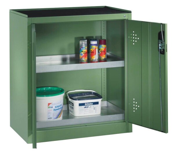 CP Umweltschrank 8821-315 S10163 resedagrün 2 Fachböden 93,0 x 50,0 x 100,0 cm, aufgebaut, 1 St.