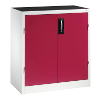 CP Stahlschrank 8821-5035 S10077 lichtgrau, rubinrot 2 Fachböden 93,0 x 50,0 x 100,0 cm, aufgebaut, 1 St.