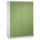 CP Stahlschrank 2159-00 S10113 lichtgrau, rededagrün 4 Fachböden 160,0 x 50,0 x 195,0 cm, aufgebaut, 1 St.