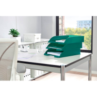 LEITZ Briefablage Plus 52270055 grün DIN A4, 1 St.