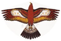 Günther® Flugdrachen Goldadler mehrfarbig, 1 St.