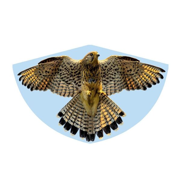 Günther® Flugdrachen Falke mehrfarbig, 1 St.