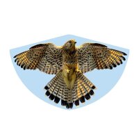 Günther® Flugdrachen Falke mehrfarbig, 1 St.