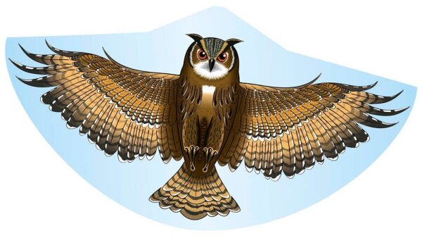 Günther® Flugdrachen Eule mehrfarbig, 1 St.