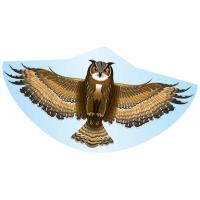 Günther® Flugdrachen Eule mehrfarbig, 1 St.