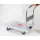 RUXXAC by SECO Transportwagen Dandy grau 46,5 x 77,0 x 89,5 cm bis 180,0 kg
