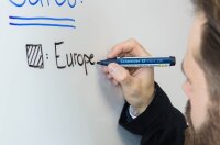 Schneider Maxx 290 Whiteboard- und Flipchart-Marker schwarz 2,0 - 3,0 mm, 1 St.