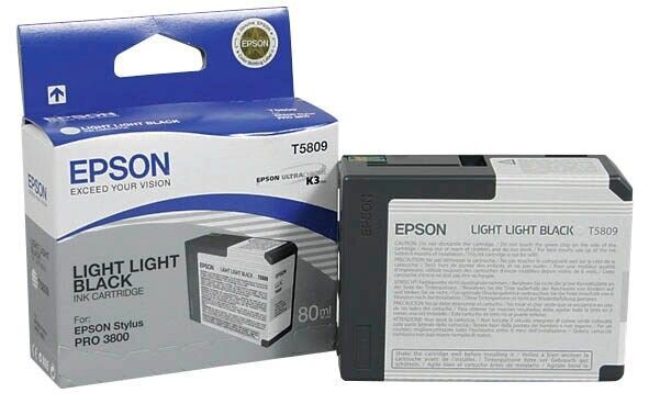 EPSON T5809 light light schwarz Druckerpatrone