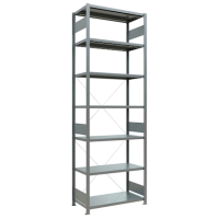 SCHULTE Schwerlastregal MULTIplus 250 12952 silber 100,0 x 50,0 x 300,0 cm