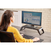 Fellowes Monitorständer Hana Series schwarz