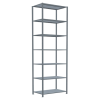 SCHULTE Schwerlastregal MULTIplus 250 12962 silber 100,0 x 60,0 x 300,0 cm
