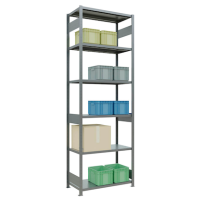 SCHULTE Schwerlastregal MULTIplus 250 12952-LR silber 100,0 x 50,0 x 300,0 cm