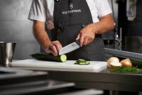 VICTORINOX Debamesser Fibrox silber, Klinge: 17,0 cm, 1 St.