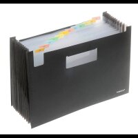 FolderSys Fächermappe 12 Fächer schwarz, 1 St.