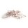Zeller Pinnnadeln transparent, 25 St.