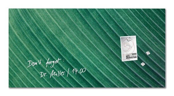 SIGEL Glas-Magnettafel artverum® 91,0 x 46,0 cm Design Palm Leaf matt