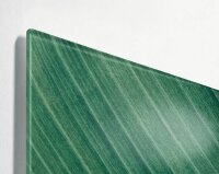 SIGEL Glas-Magnettafel artverum® 91,0 x 46,0 cm Design Palm Leaf matt
