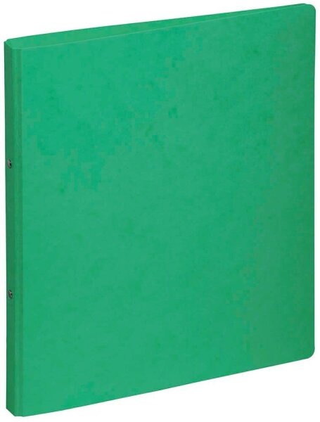 PAGNA Ringbuch 2-Ringe grün 3,0 cm DIN A4, 1 St.