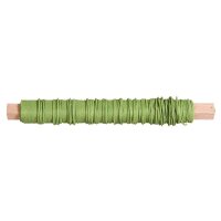 Rayher Papier Basteldraht grün 0,55 mm 20,0 m 1 Rolle