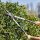 FISKARS® SmartFit™ HS86 Heckenschere