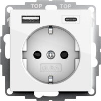 GIRA Steckdose mit USB-Anschluss, 1 St.