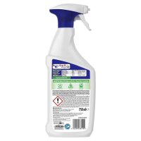 Mr. Proper Professional 2in1 Fettlöser 750 ml, 1 St.