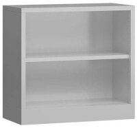 ClassiX Aktenregal lichtgrau 80,0 x 38,0 x 75,0 cm, 1 St.