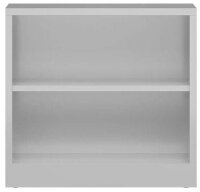 ClassiX Aktenregal lichtgrau 80,0 x 38,0 x 75,0 cm, 1 St.