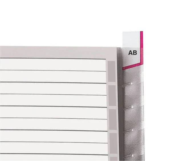 LEITZ Ordnerregister 1274 DIN A4 Vollformat,...