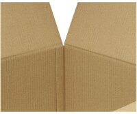 Nestler Wellpapp-Faltkartons 1-wellig braun 22,0 x 19,0 x 13,7 cm Außenmaß, 20 St.