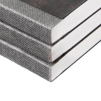 BRUNNEN Notizbuch FACT!plus DIN A4 punktkariert, schwarz Softcover 192 Seiten, 1 St.