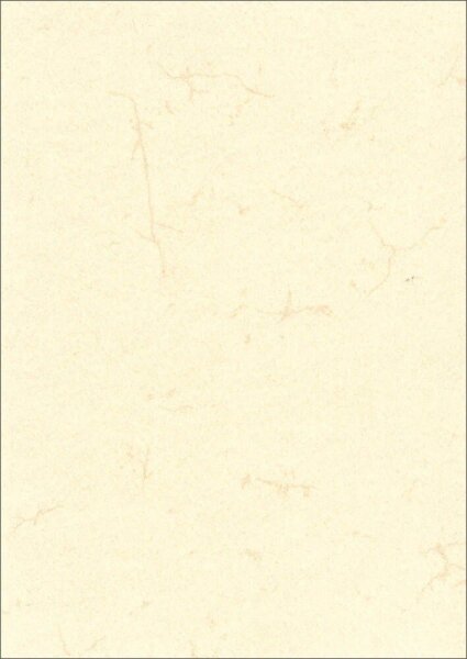 RNK-Verlag Motivpapier Elefantenhaut chamois DIN A3 190 g/qm 10 Blatt