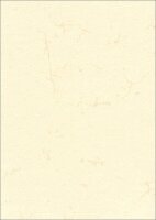 RNK-Verlag Motivpapier Elefantenhaut chamois DIN A3 190...