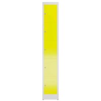 ClassiX Schließfachschrank lichtgrau, zinkgelb X-520516, 5 Schließfächer 31,0 x 50,0 x 180,0 cm