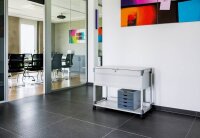 DURABLE Hängemappenwagen abschließbar grau für bis zu 100 Hängemappen