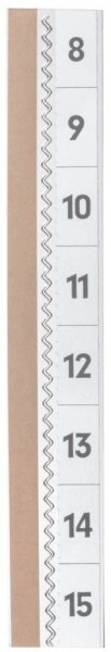 DURABLE Vollsichtreiter selbstklebend TABFIX transparent, 5 St.