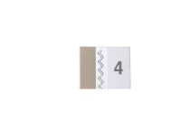 DURABLE Vollsichtreiter selbstklebend TABFIX transparent, 5 St.
