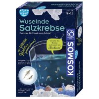 KOSMOS Experimentierkasten Wuselnde Salzkrebse mehrfarbig