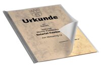 DURABLE Klemmschienenhüllen DIN A4 transparent...