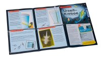 KOSMOS Experimentierkasten Urzeit-Krebse mehrfarbig