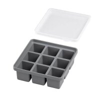 APS Eiswürfelform 9er grau, 2 St.