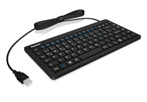 RaidSonic ICY BOX® KSK-3230IN Tastatur kabelgebunden schwarz
