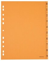Trennblätter DIN A4 0-9 orange, 250 g/qm, 100 St.