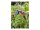 GARDENA Gartenbrause Comfort Beete
