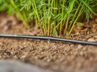 GARDENA Tropfschlauch Micro-Drip-System oberirdisch 4,6 mm (3/16 Zoll) 15,0 m