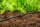GARDENA Tropfschlauch Micro-Drip-System oberirdisch 4,6 mm (3/16 Zoll) 15,0 m