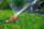 GARDENA Kreis- und Viereckregner Classic 6 Boogie 2073