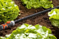 GARDENA Gartenschlauchverbinder Perl-Regner-Anschlussset 1989-20, 1 Set
