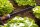 GARDENA Gartenschlauchverbinder Perl-Regner-Anschlussset 1989-20, 1 Set