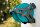 GARDENA Schlauchaufroller Classic 50 Set 20,0 m